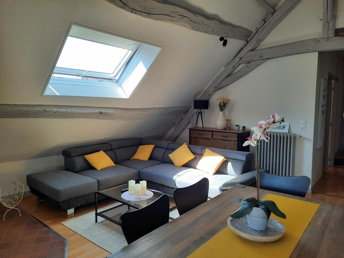 Grand Appartement Tout Confort Proche De Chambord Saint-Claude-de-Diray Exterior foto