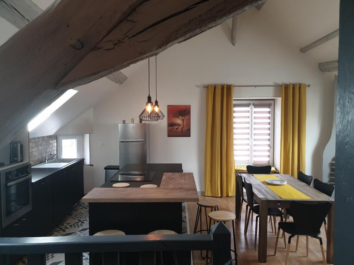 Grand Appartement Tout Confort Proche De Chambord Saint-Claude-de-Diray Exterior foto